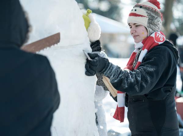 Illinois Snow Sculpting Competition 2026