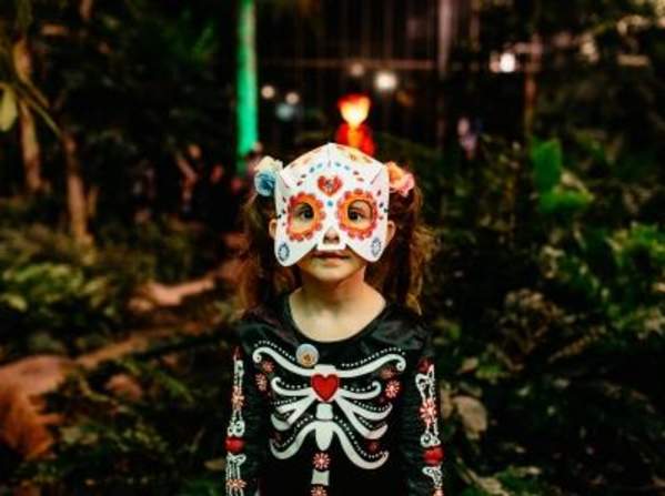 Nicholas at Night: Día de los Muertos All-Ages Event