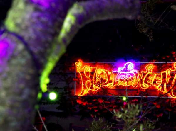 Eerie Autumn Lights