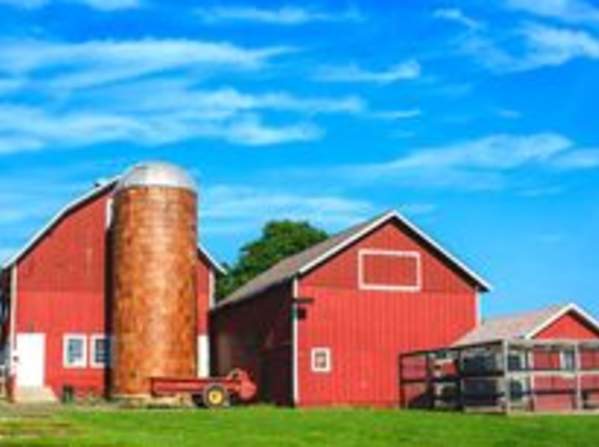 Lockwood Park Activities Opening Day