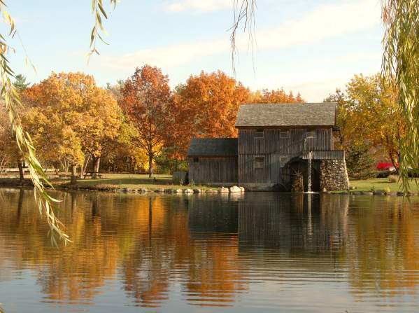 Sock Monkey Madness - Sock Hop!