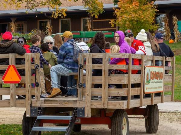 Fall on the Farm