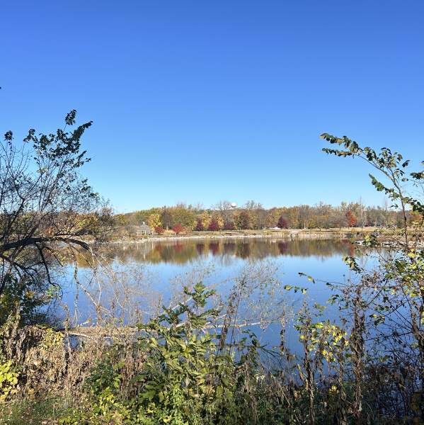 Baumann Park