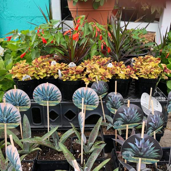 Cherry Valley Garden Center