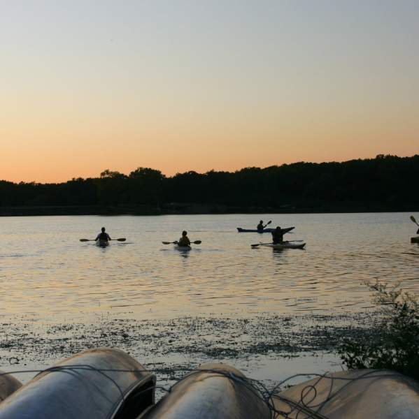 Olson Lake Beach