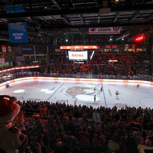 Rockford IceHogs Pro Hockey