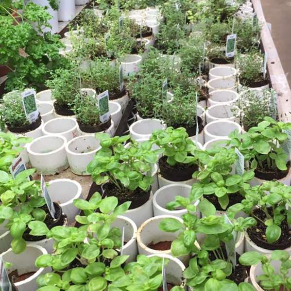 Rock Valley Garden Center