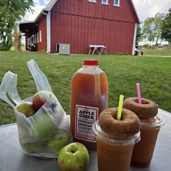 Curran's Orchard