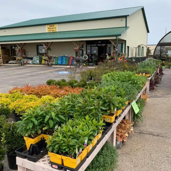 S & H Nursery