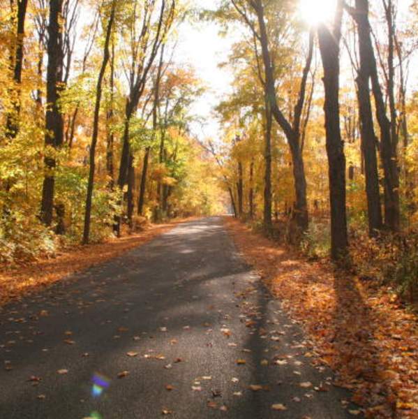 Forest Preserves of Winnebago County