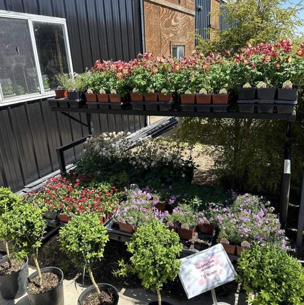 Meridian Nursery