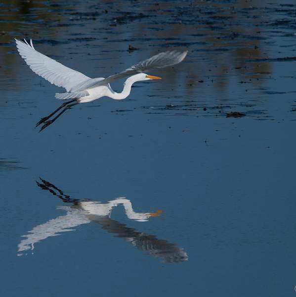 Nygren Wetland Preserve