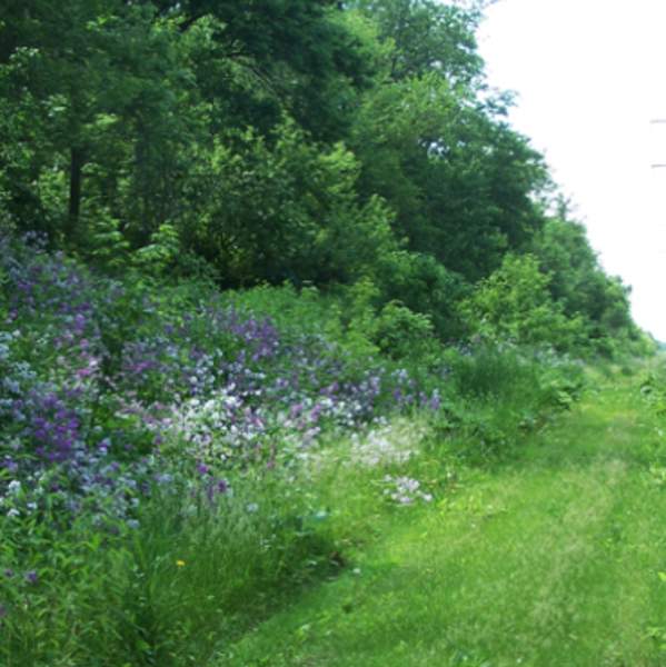 Pecatonica Prairie Path & Bike Trail