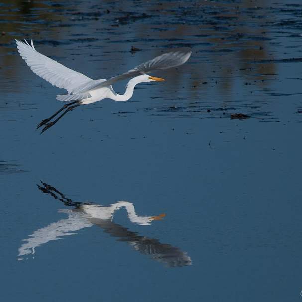 Nygren Wetland Preserve
