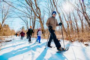 Winter Activities Header