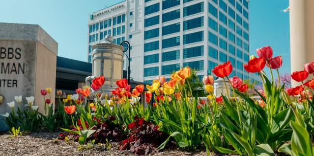 downtown flowers