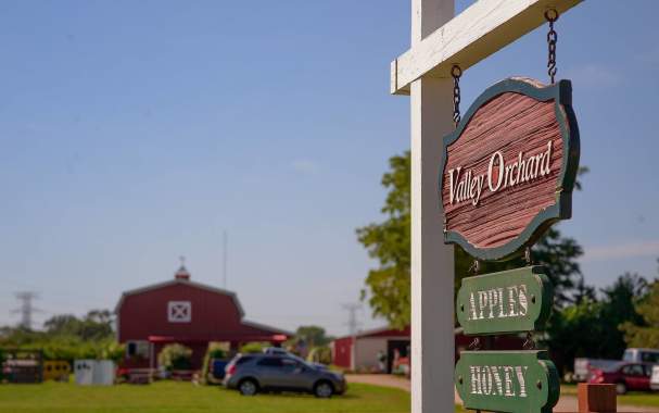 Valley Orchard