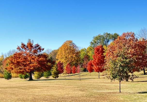 A Fall Day in Cherry Valley