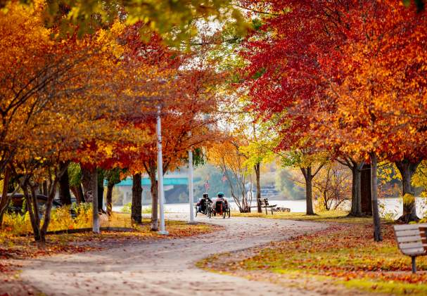 fall bike path