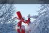 hi_102WinterSymbol