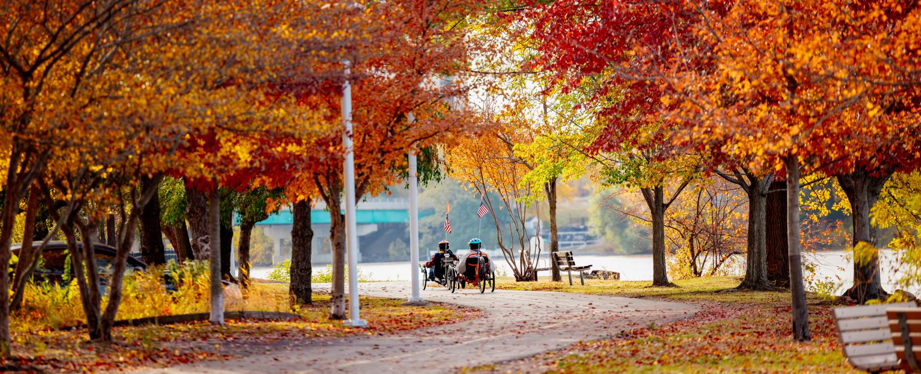 fall bike path
