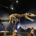 A Rockford-Area Museum Tour for the History Books