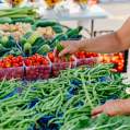 Farmer’s Markets and Summer Farm Experiences in the Rockford Region