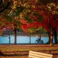 fall bike path 3