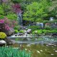 Anderson Japanese Gardens