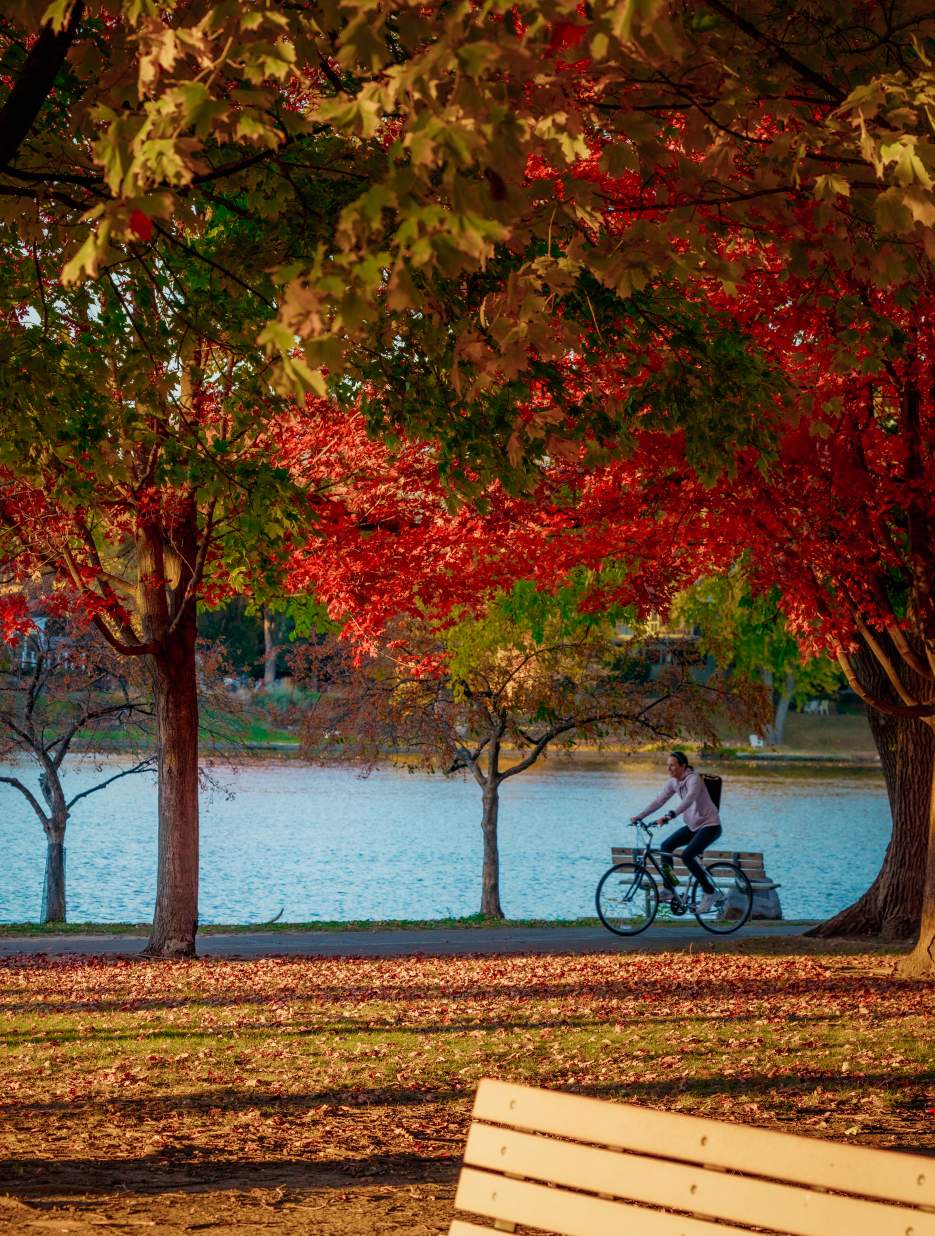 fall bike path 3