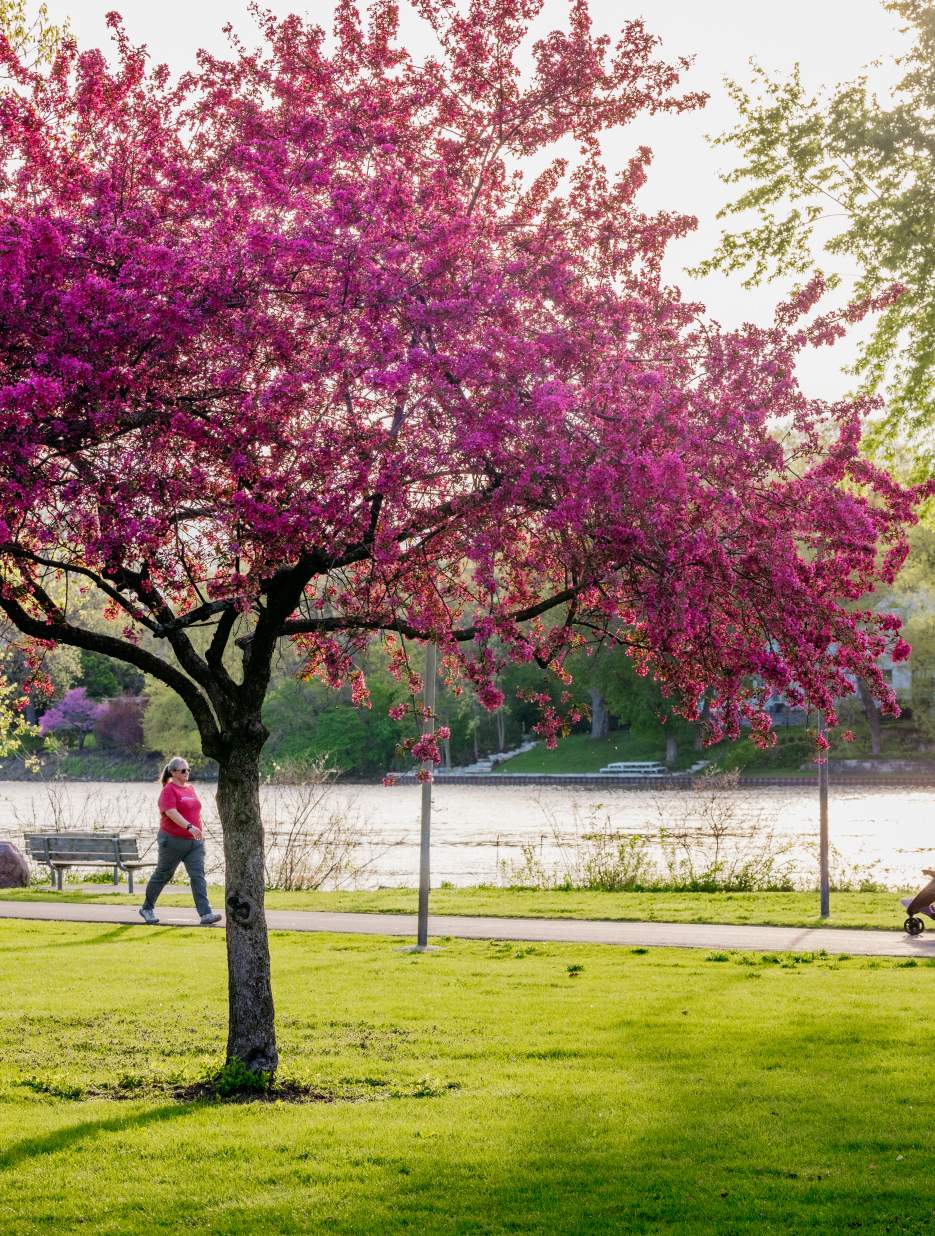 spring nicholas bike bath