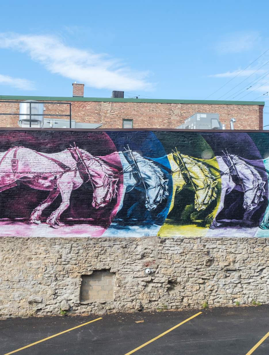 Thomas Argon - Magpie