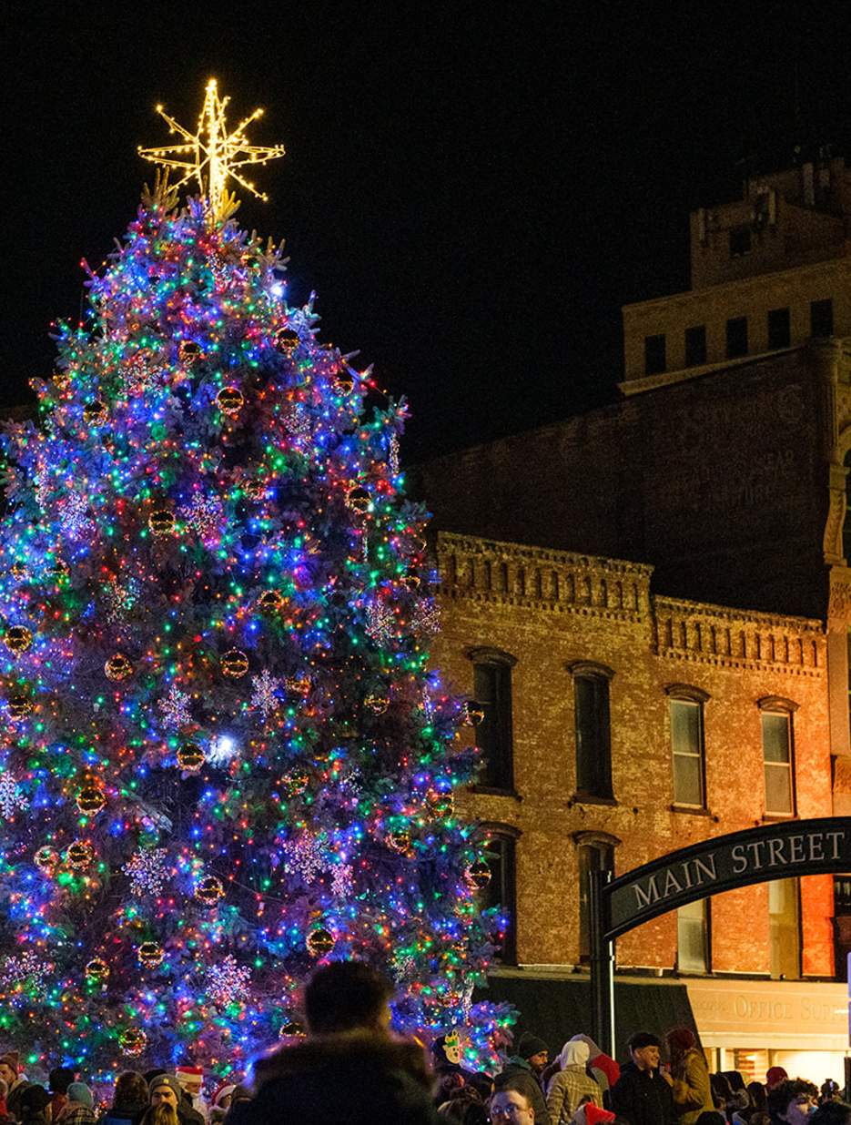 Stroll on State Tree Lighting