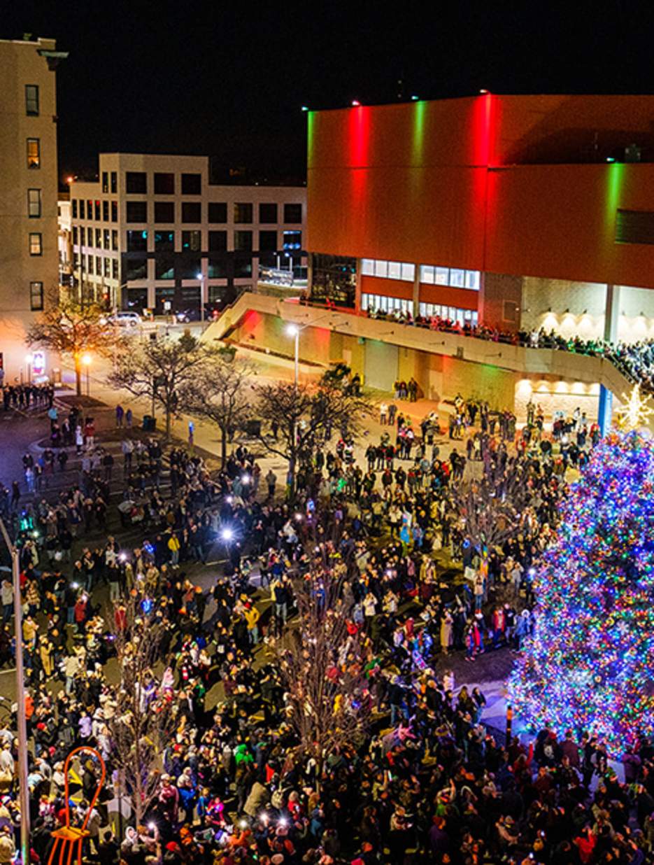 stroll tree lighting