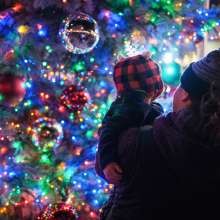 stroll on state tree