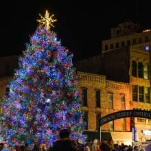 Stroll on State Tree Lighting