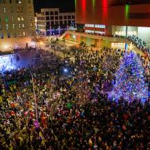 Stroll on State Tree
