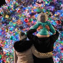 Stroll on State Tree