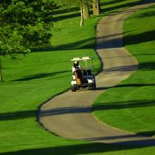 hi_059GolfCart