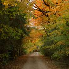 hi_097Fall