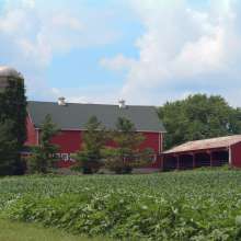 hi_103Farm