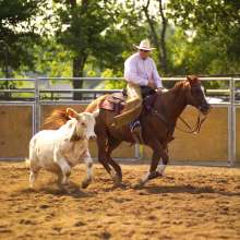 hi_108Cowboy