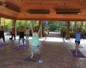Yoga in the Rockford Region