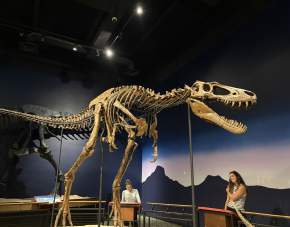 A Rockford-Area Museum Tour for the History Books