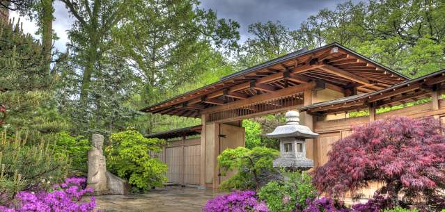 Anderson Japanese Gardens Spring Header Slide