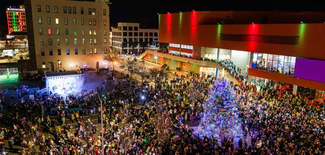 stroll tree lighting