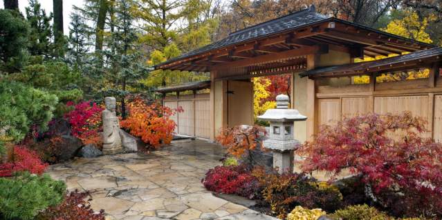 anderson gardens fall