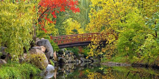 Anderson Japanese Gardens (Fall)