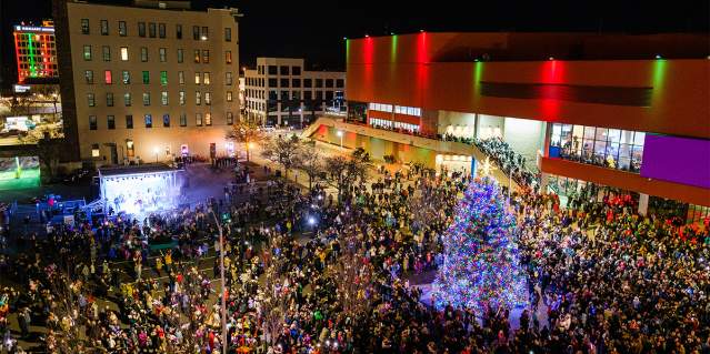 stroll tree lighting