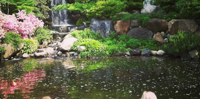 Anderson Gardens